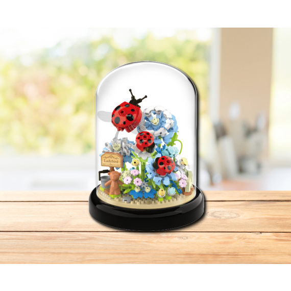 Assorted 6 Garden Wonder CDU