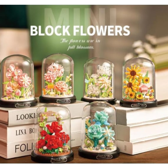 Assorted 6 Garden Wonder CDU