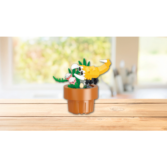Assorted 9 Flora and Flutter CDU