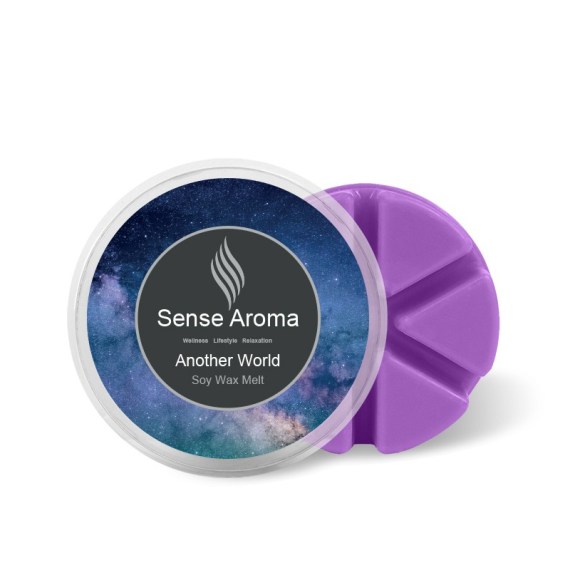 Another World Wax Melt, 40g