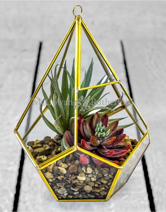 Large Gold Metal and Glass Terrarium