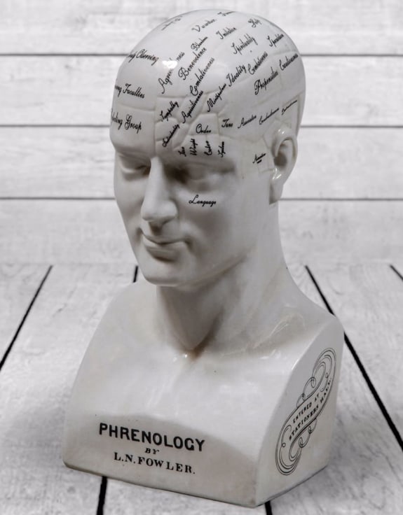 Large Antiqued Ceramic Phrenology Head