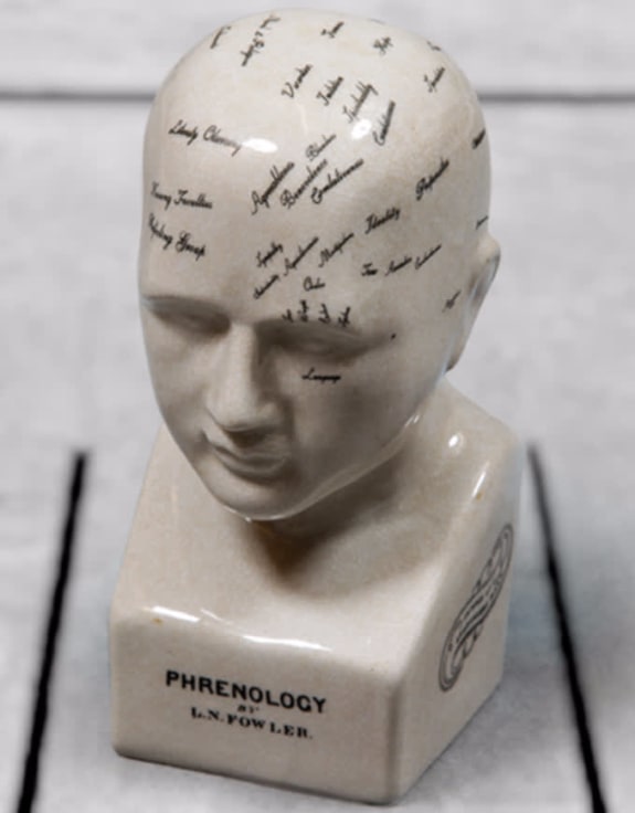 Small Antiqued Ceramic Phrenology Head