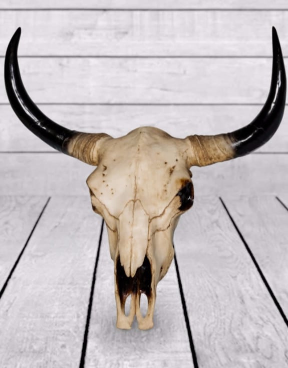 Extra Large Bison Skull Wall Head