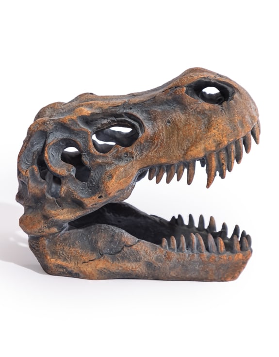 T-Rex Skull Table Decor