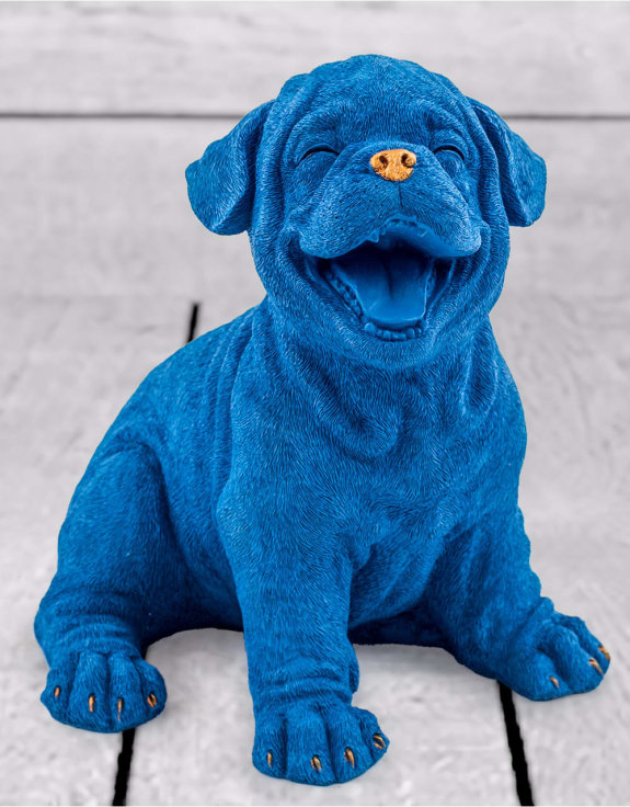 Royal Blue with Gold Details Laughing Puppy