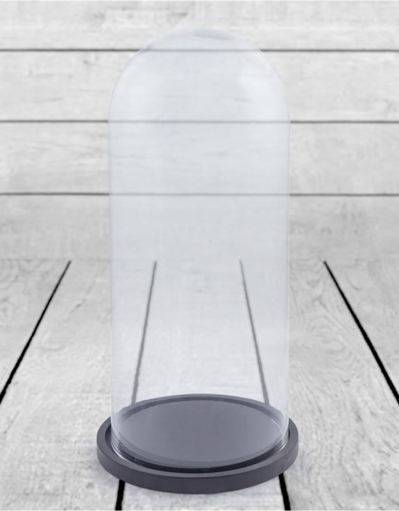 Large Glass Dome/Cloche on Black Wooden Base