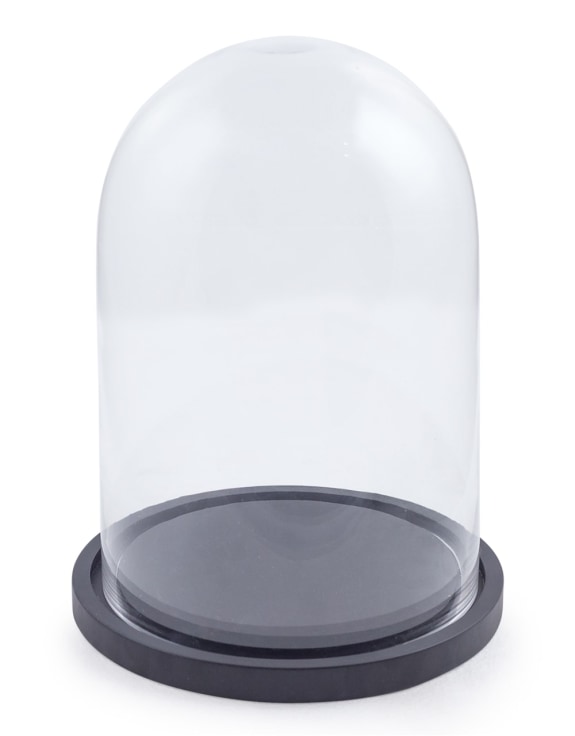 Small Glass Dome/Cloche on Black Wooden Base