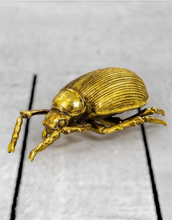 Large Gold Beetle Wall Decoration (to be bought in qtys of 2)