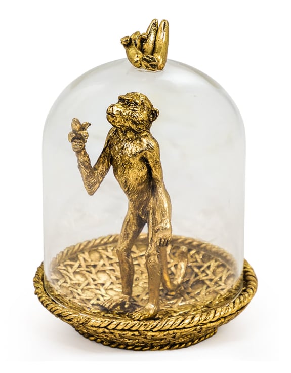 Golden Hungry Monkey in Glass Dome