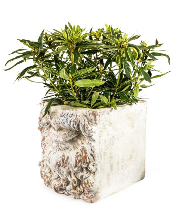 Large Rustic Stone Effect Classical Mouth Planter