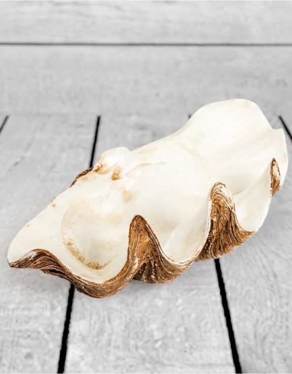 Large Clam Shell Decorative Bowl