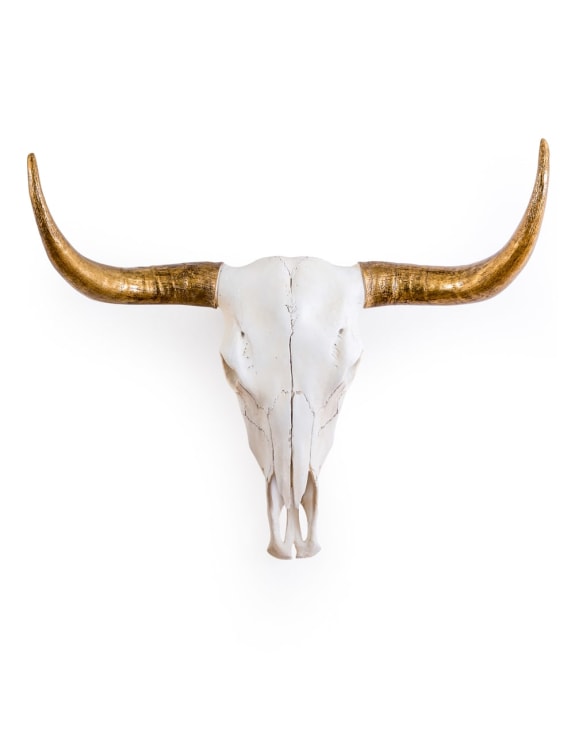 Extra Large Bison Wall Skull with Gold Horns