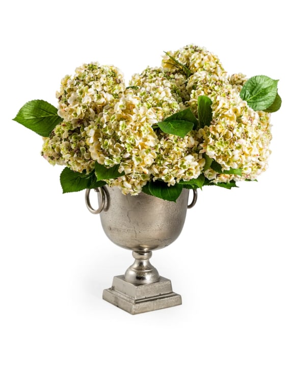 Ornamental Green Hydrangea 5 Flower Stem (to be bought in qtys of 6)