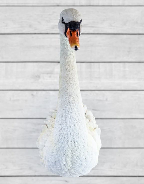 Large White Swan Wall Head