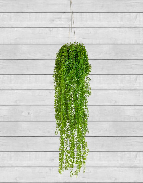 Ornamental Hanging Airplant Vine Arrangement (to be bought in qtys of 6)