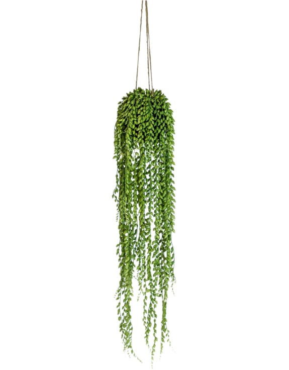 Ornamental Hanging String of Pearls Vine Arrangement (to be bought in qtys of 6)