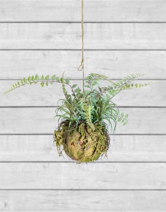 Ornamental Hanging Moss Ball with Ferns (to be bought in qtys of 6)