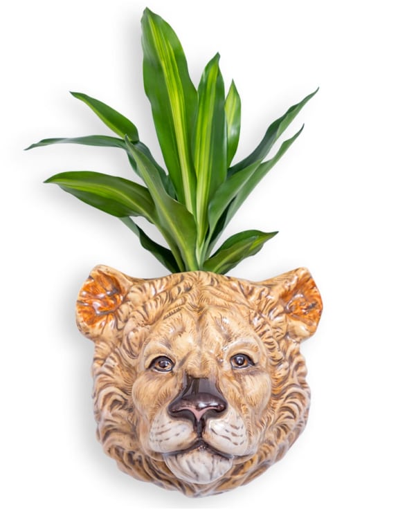 Hand Painted Ceramic Lioness Head Wall Sconce Vase