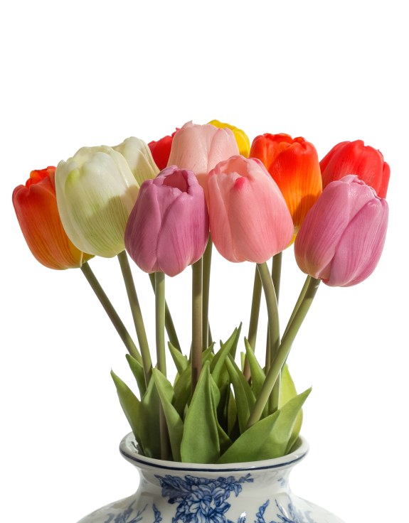 Assorted Mixed Colour Tulip Stems (to be bought in bunches of 24)