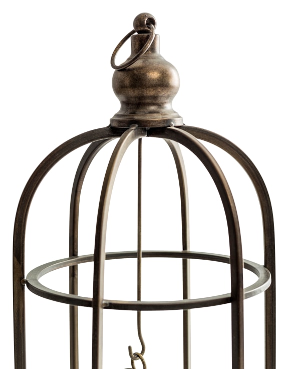 Black And White Image Of Large English Vintage Brass Birdcage