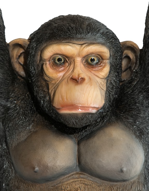 Chimpanzee Holding "Trunk Slice" Side Table