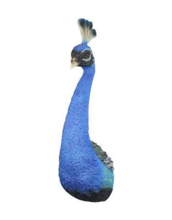 Peacock Head Wall Figure