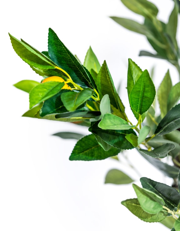 Large Ornamental Potted Orange Tree