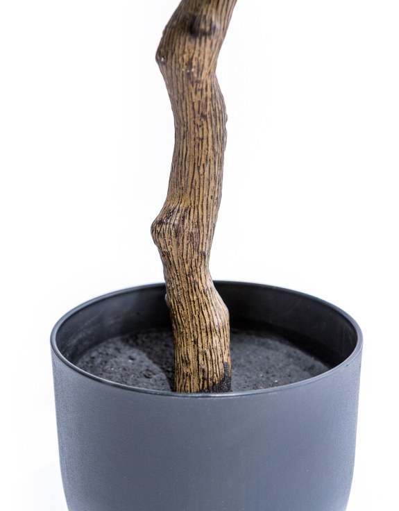 Large Ornamental Potted Orange Tree