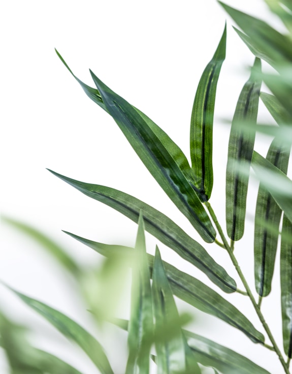 Extra Large Bamboo Tree
