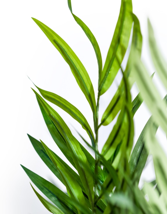 Extra Large Bamboo Tree