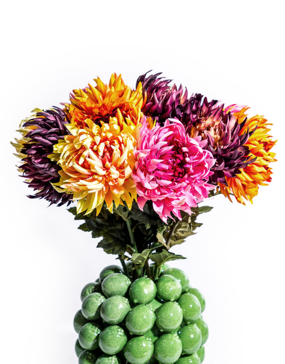 Assorted Mixed Colour Daisy Ball Stems (to be bought in bunches of 12)