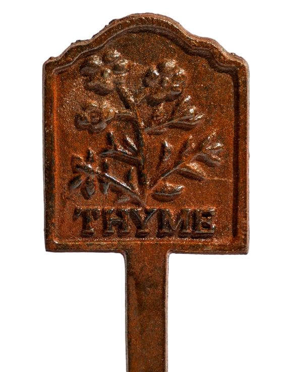 Rusted 'Thyme' Cast Iron Herb Garden Planter Sign (to be bought in qtys of 5)