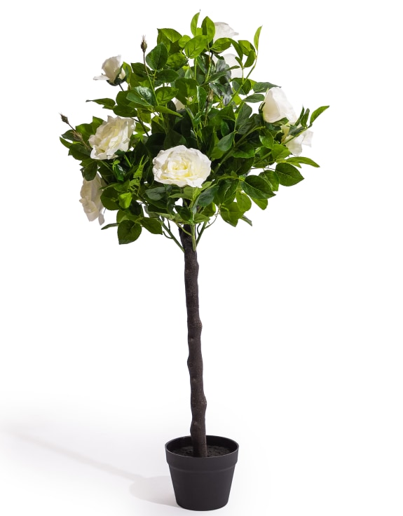 Large Ornamental Potted White Rose Tree
