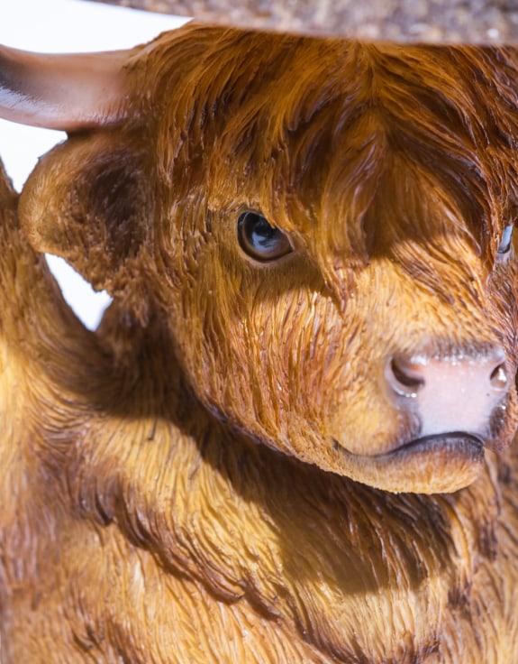 Highland Cow Holding "Trunk Slice" Side Table