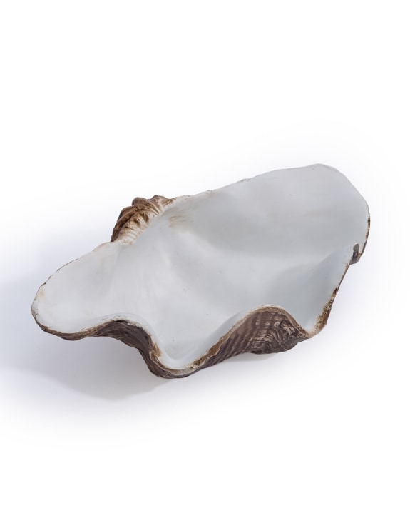 Small Clam Shell Jewellery / Storage Bowl