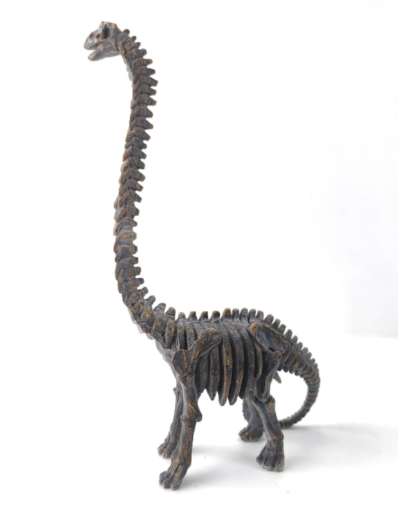 Brachiosaurus Dinosaur Skeleton Ornament