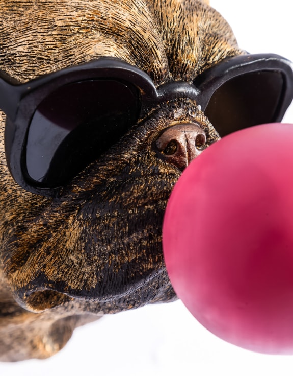 Gold Pug Dog Bubblegum Wall Head