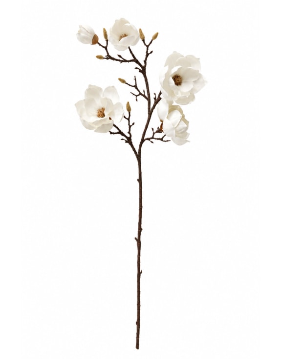 Magnolia Branch Stem (to be bought in qtys of 6)