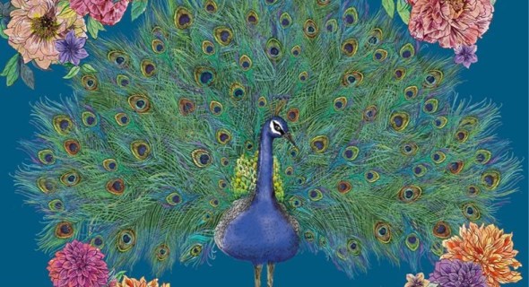 Matthew Williamson Collection