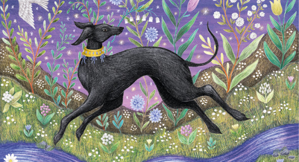 Catherine Rowe Gift Stationery and Greeting Cards from Museums & Galleries