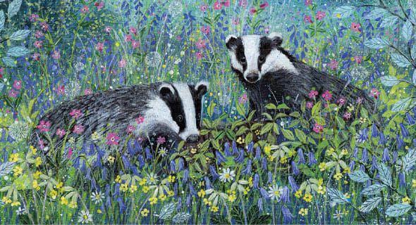 Coast and Country Greeting Cards from Museums & Galleries