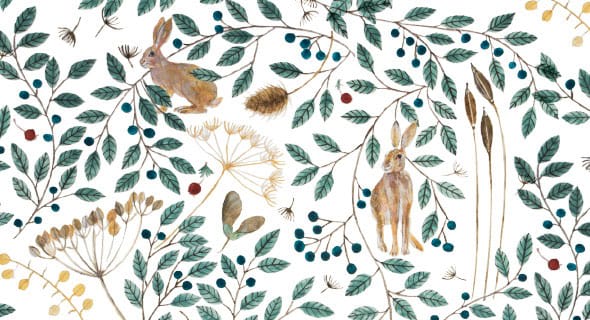 Dee Hardwicke Gift Stationery and Greeting Cards from Museums & Galleries