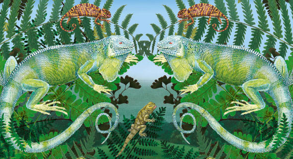 Natural History Museum Gift Stationery and Greeting Cards from Museums & Galleries