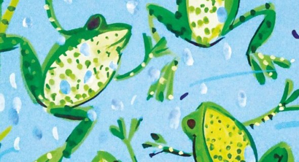 Sarah Campbell Designs Gift Stationery and Greeting Cards from Museums & Galleries