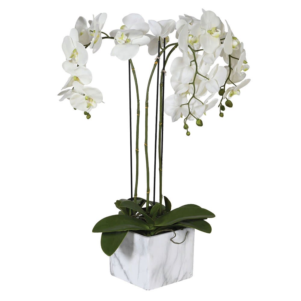 Small Orchid in Marble Look Pot