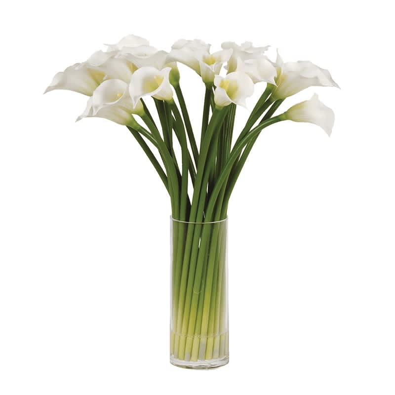 White Calla Lilies in Glass Column Vase