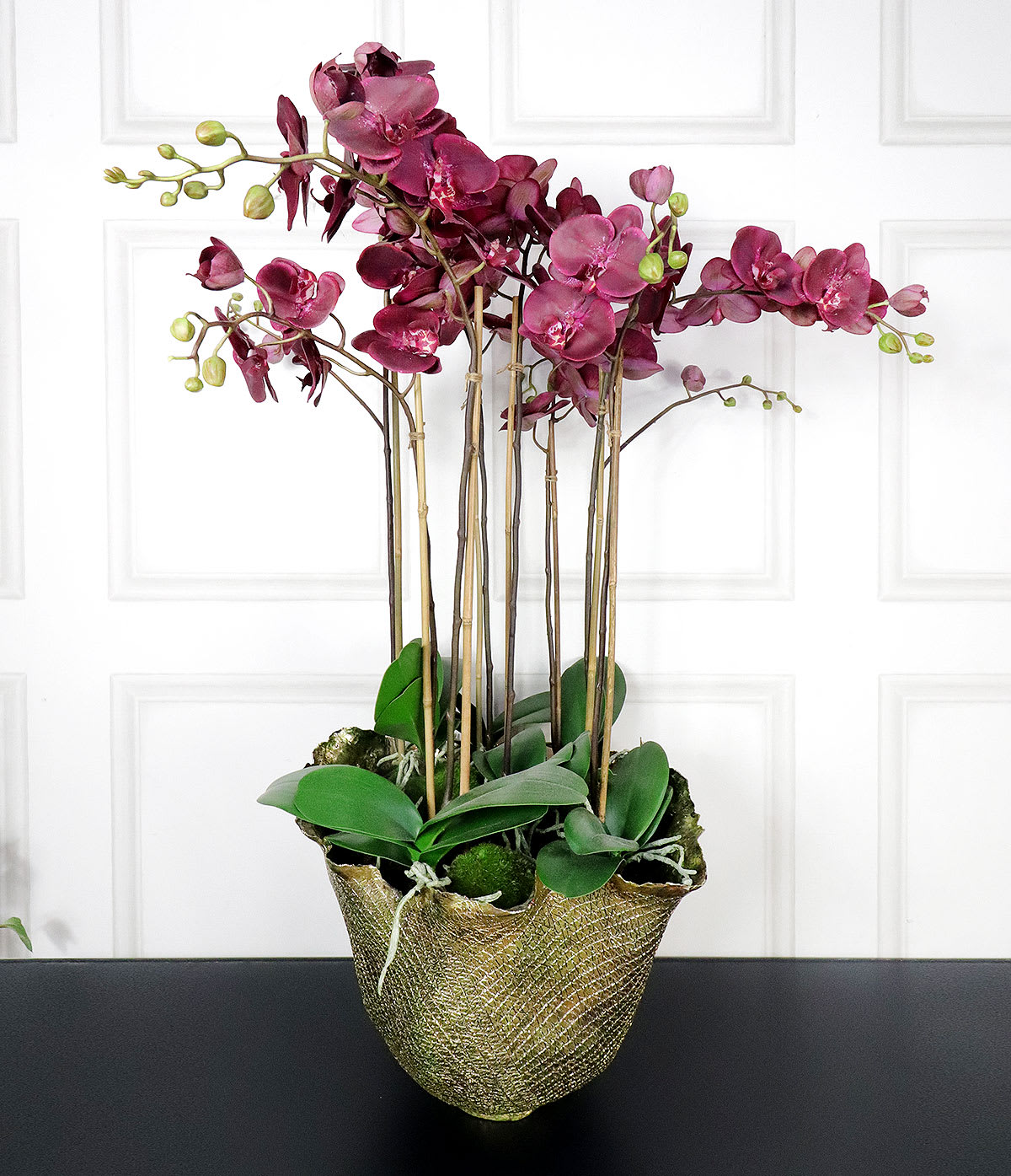 Damson Orchid Phalaenopsis Large Plants in Antiqued Gold Decorative Pot