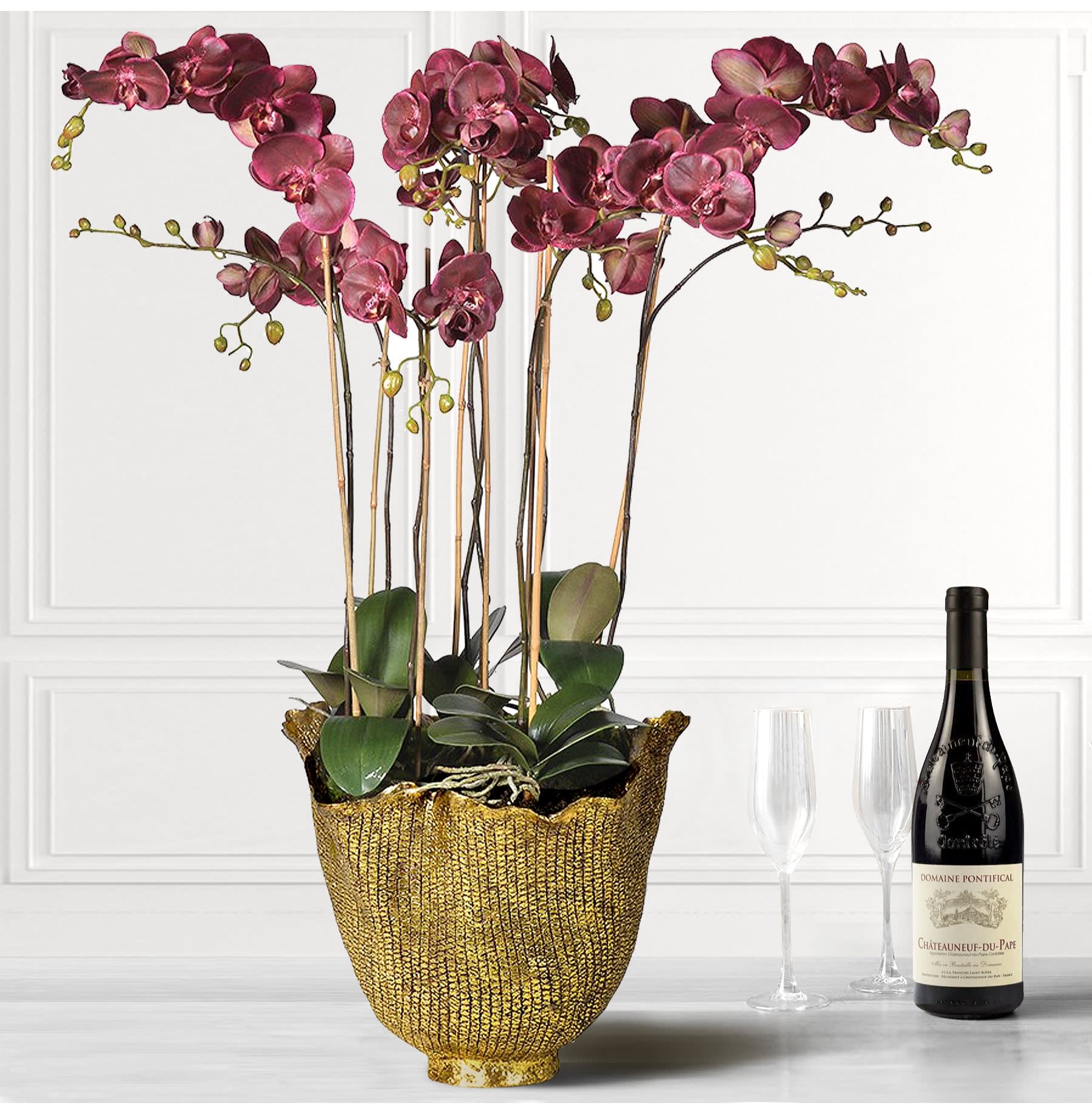 Damson Orchid Phalaenopsis Large Plants in Antiqued Gold Decorative Pot