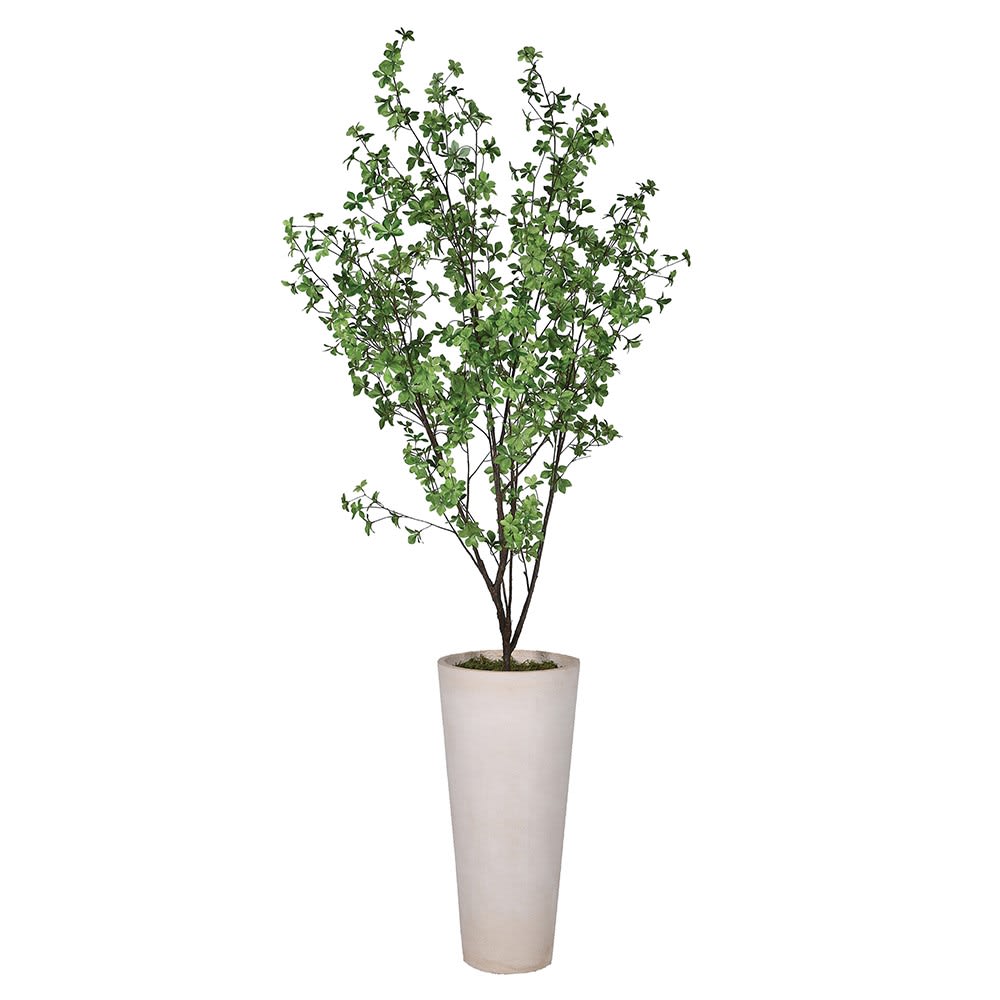 Faux Yakushima Tree in Tall Clay Effect Pot